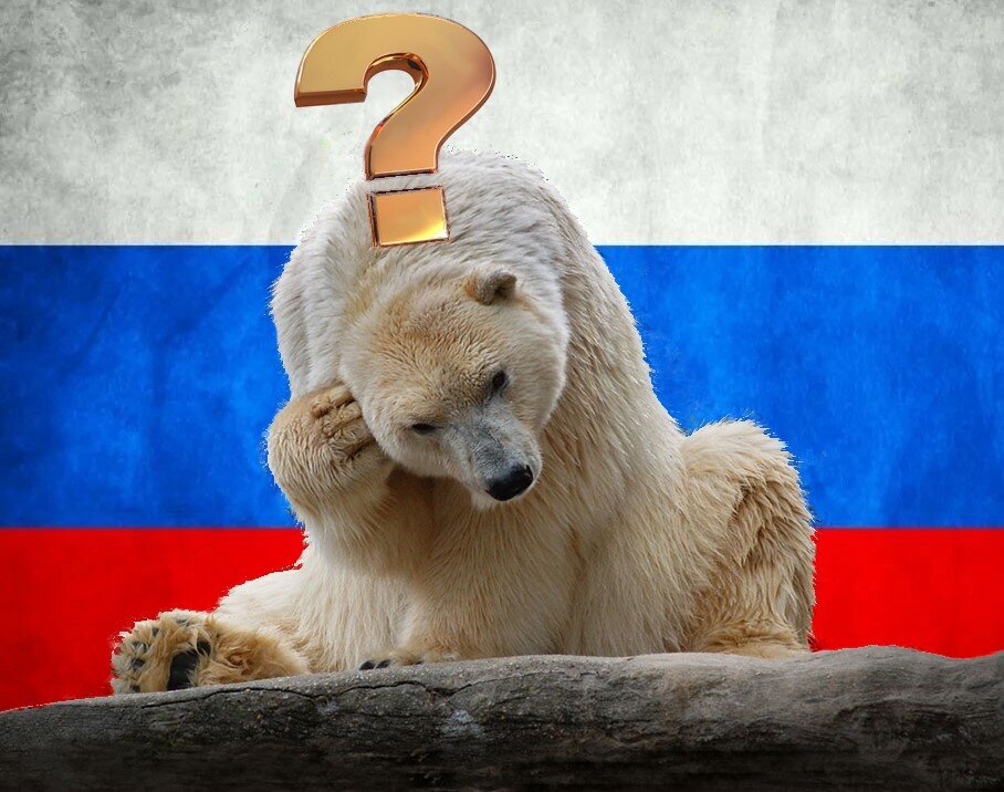 Изображение из сети интернет в свободном доступе.