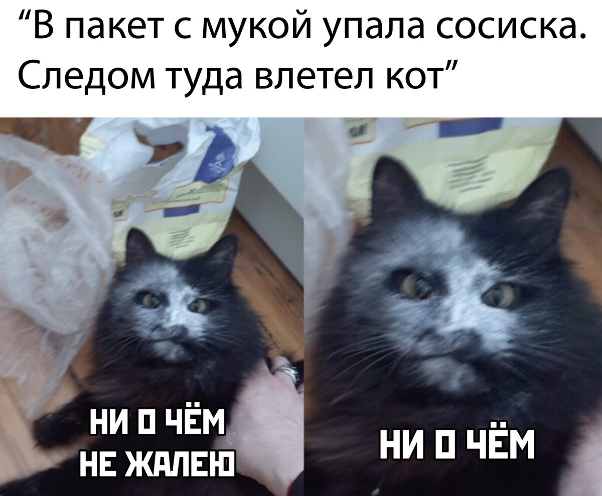БАЛДЕЖ!