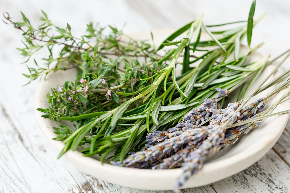 Секреты приготовления вкусной косули: быстро, просто, горячо | Дикоед ...