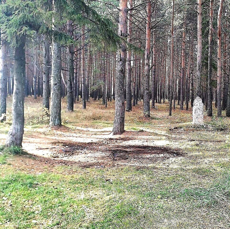 Вместе с лишним весом уходила и повседневная суета и торопливость. Больше времени я стала уделять окружающему меня миру и замечать его красоту.