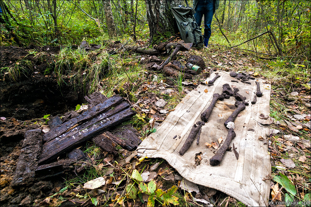 Военная аномалия в Мясном бору. Фото: Яндекс картинки