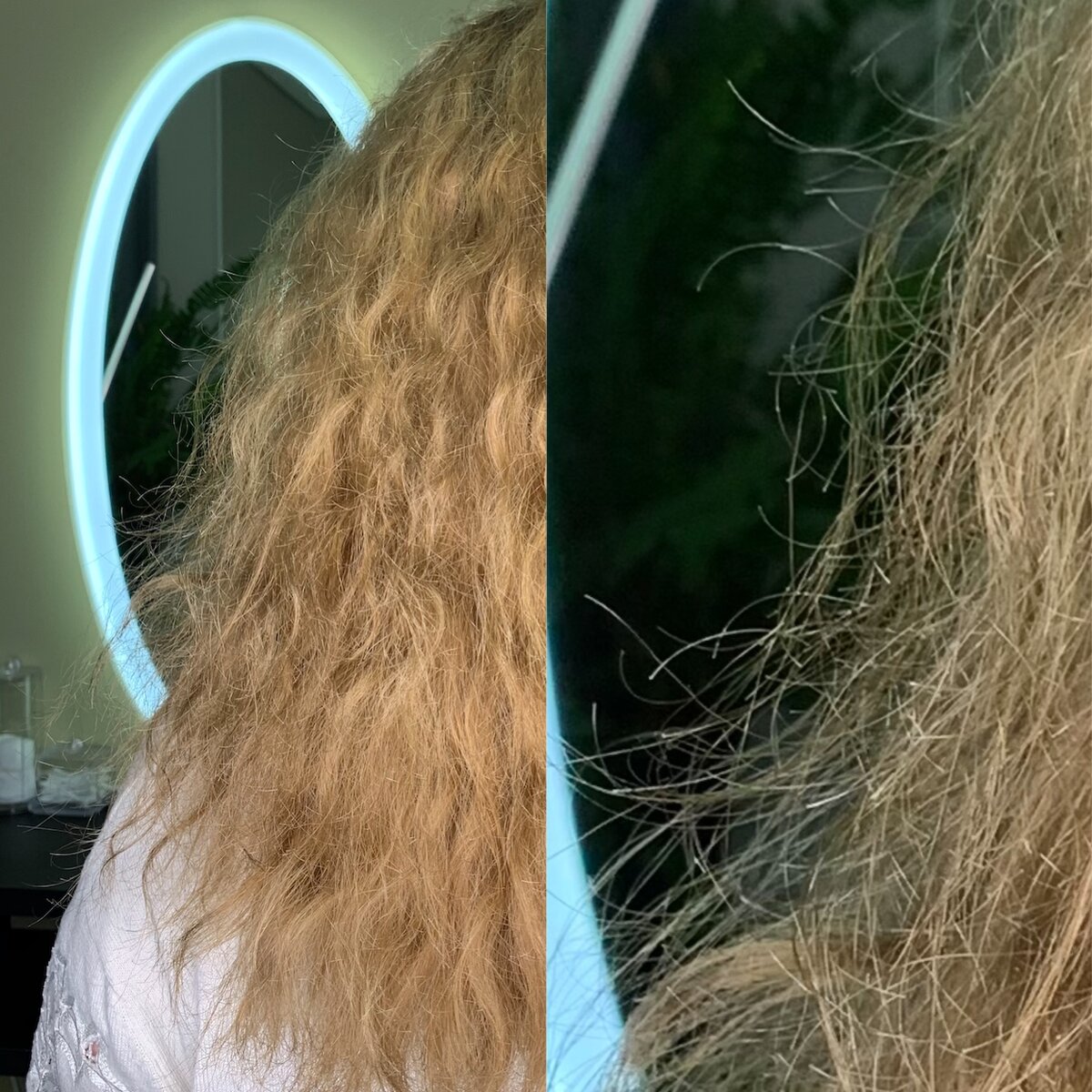 Влияние постоянного использования утюжка без кондиционера и термозащиты. Сухой и посеченный волос