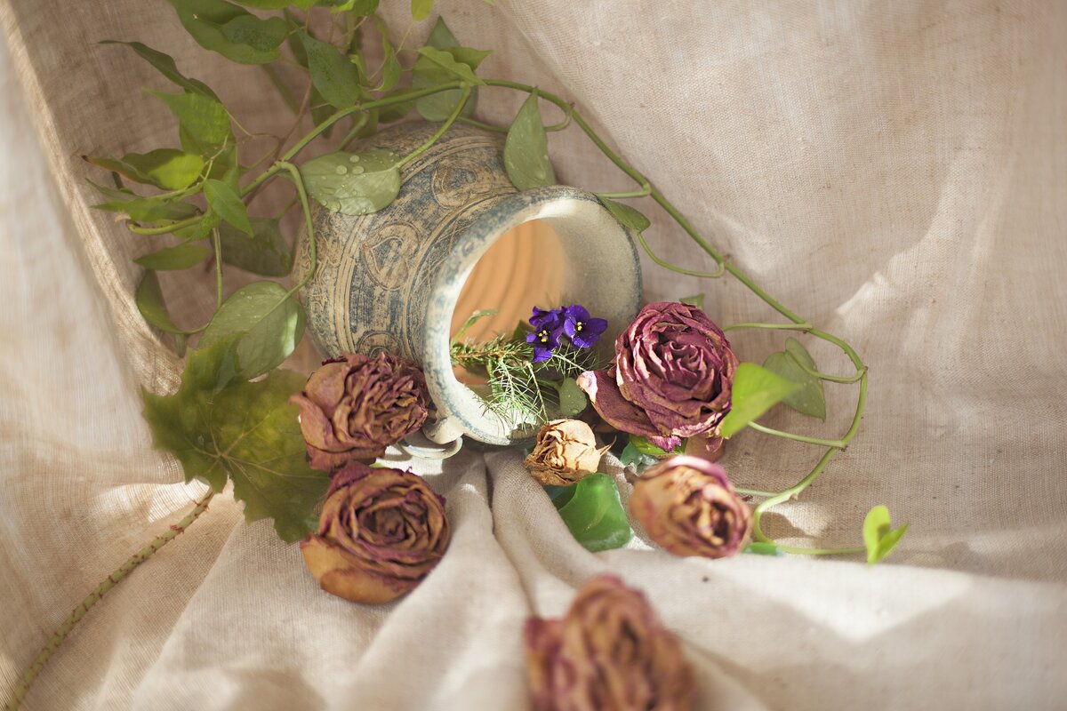 Фото с сайта Pixabay