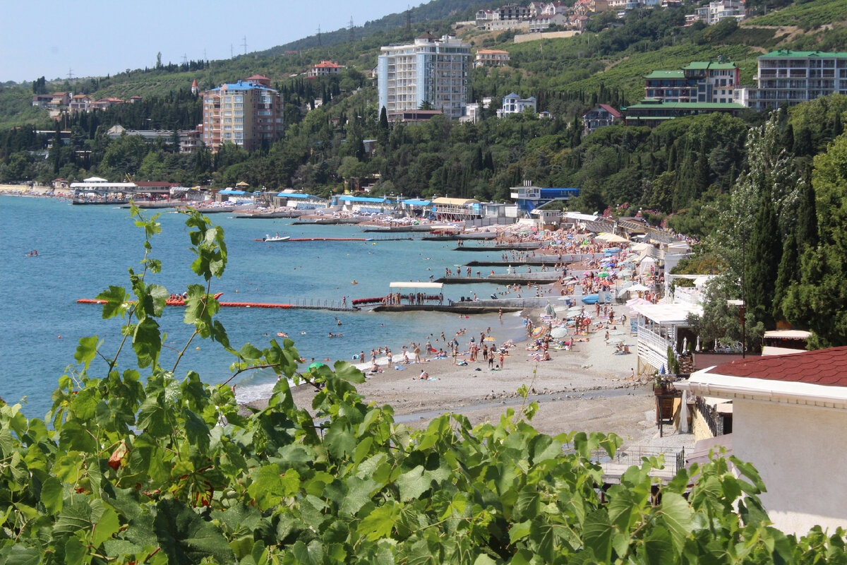 Гурзуф и его пляжи одно из популярных мест в Крыму. Показываю обстановку на  берегу и море | Creativ&Eats | Дзен