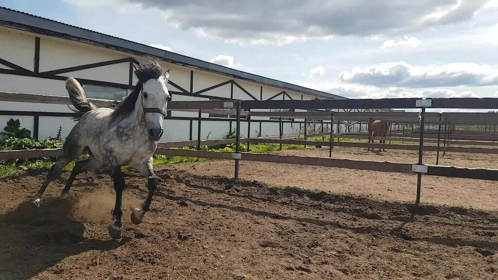 Мой первый Сигнал