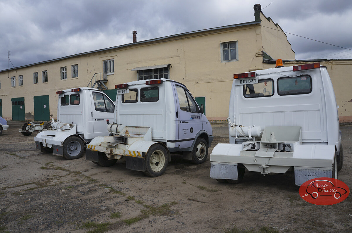 Они же, вид сзади 