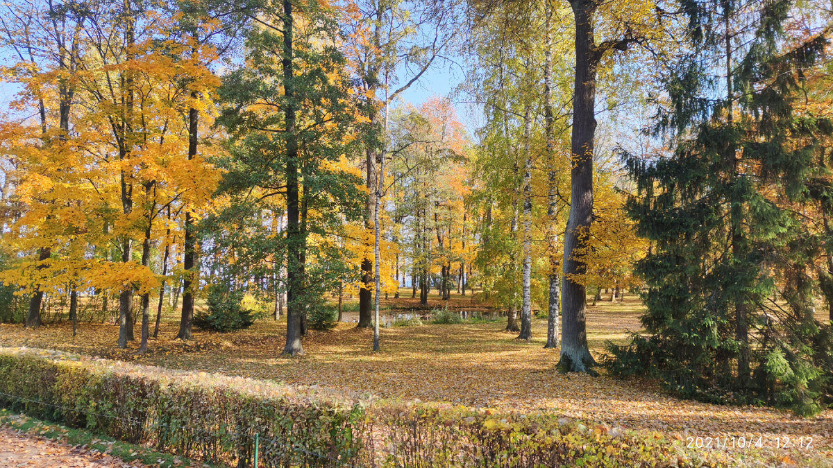 В нижнем парке Петергофа