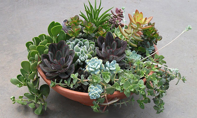 Ссылка на фото https://goo.su/8GV9.