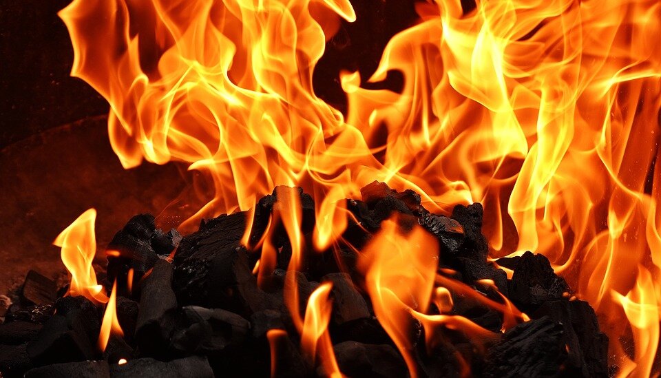 Фото с источника: https://pixabay.com/ru