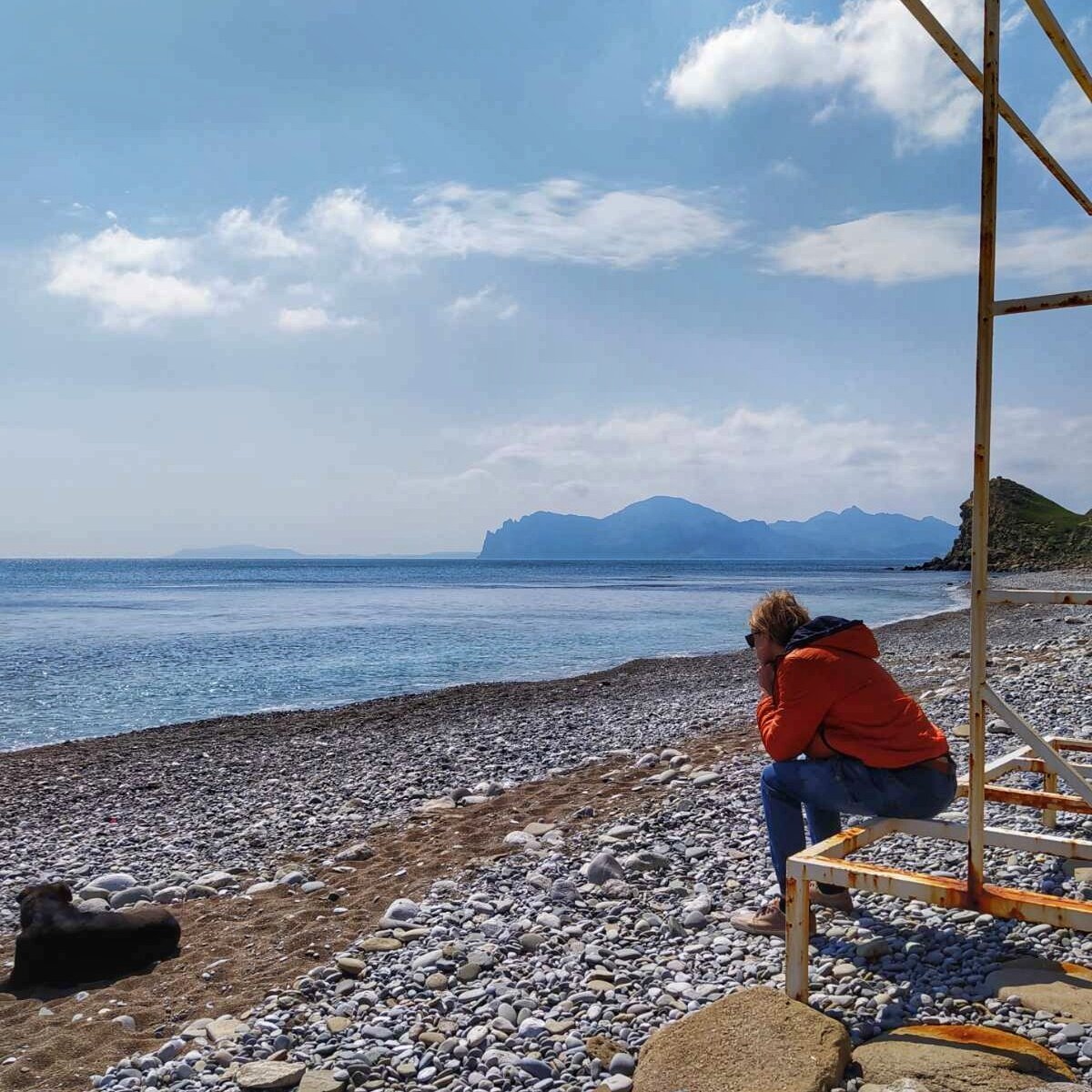 Из каждой поездки к морю стараемся привезти дрифтвуд и красивую гальку