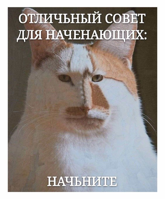 Интернет-мем