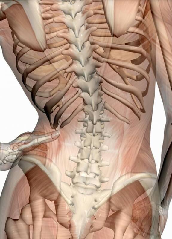 в изогнутом положении на позвоночник сверху и снизу давит вес снаряда, снизу при отталкивании от пола, а сверху тяжесть снаряда.