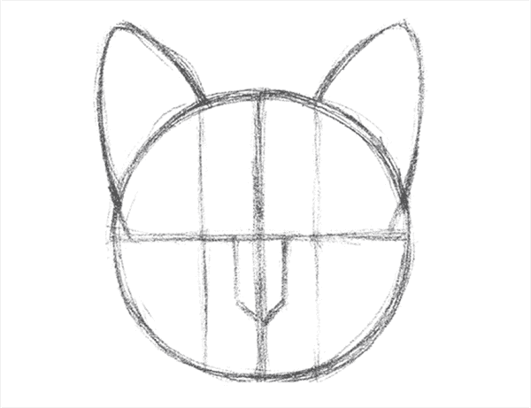 Как рисовать голову кошки (кота) с переди | Виталий Исмагилов | Дзен