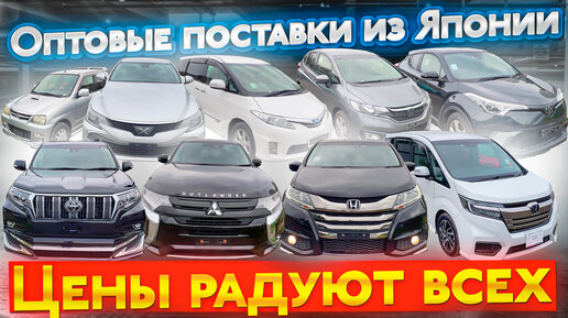 Автокартель авто из японии