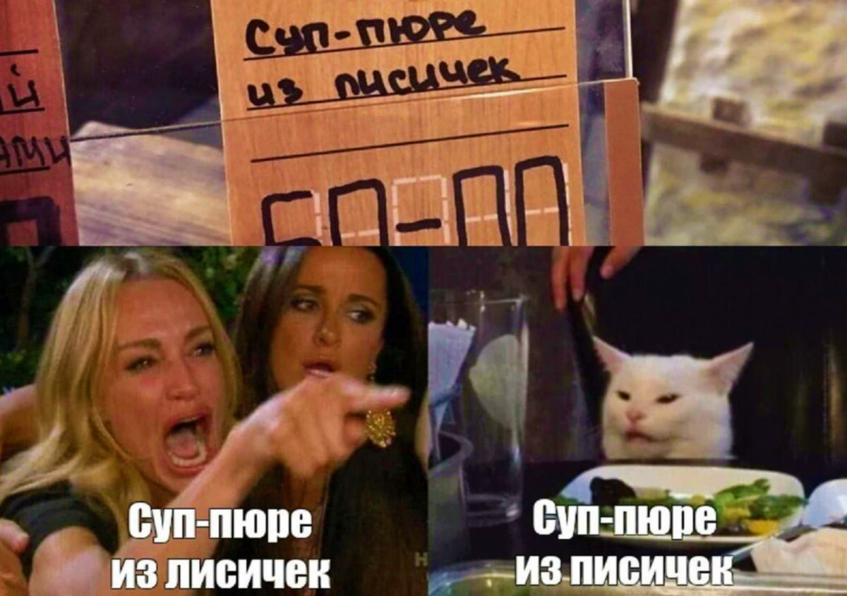 Женщина орет на кота Мемная папка Дзен