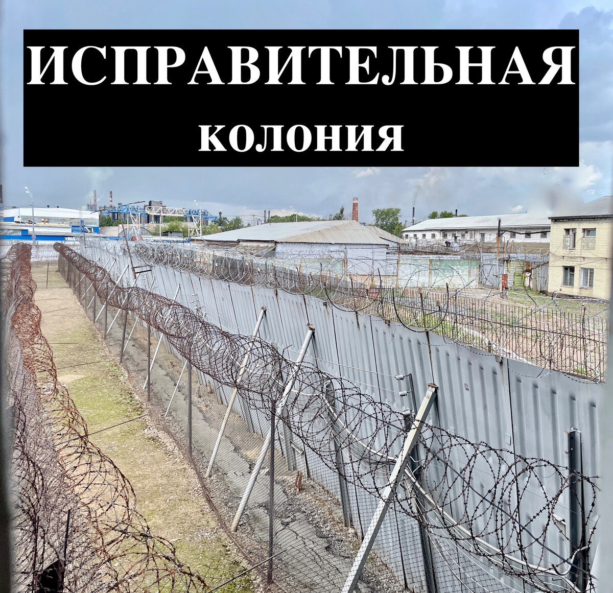 Колония как жить. Забор колонии