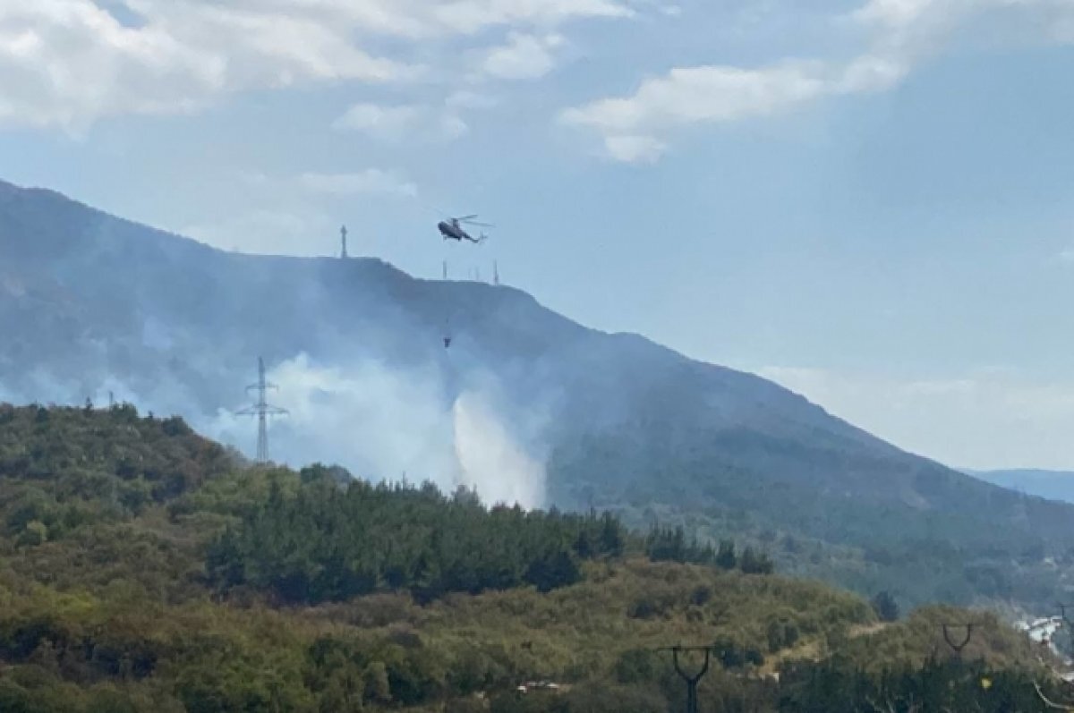   Подозреваемый по делу о пожаре в Геленджике арестован за прием наркотиков