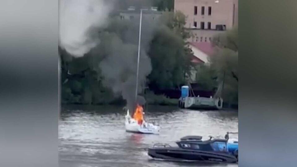 Фото: © Скриншот видео