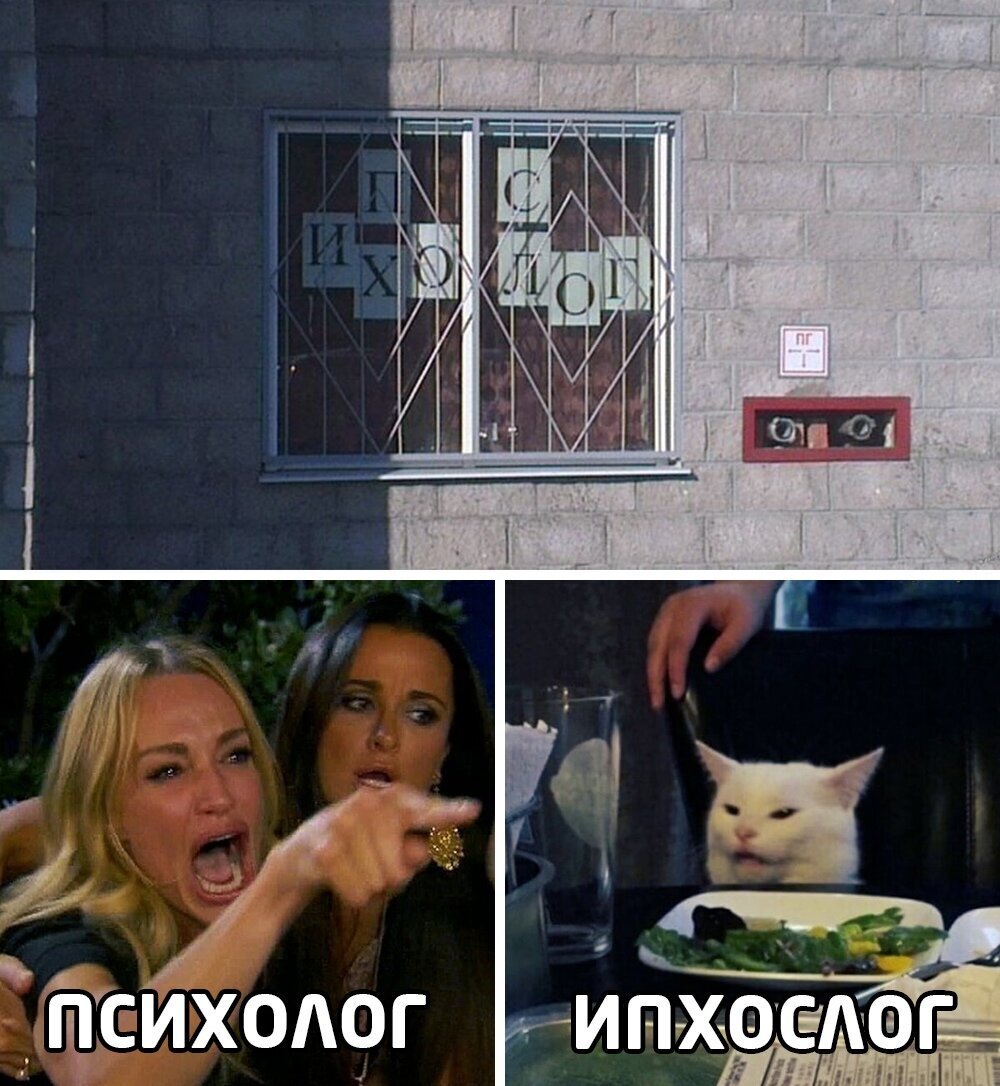 Белый кот и девушки мем
