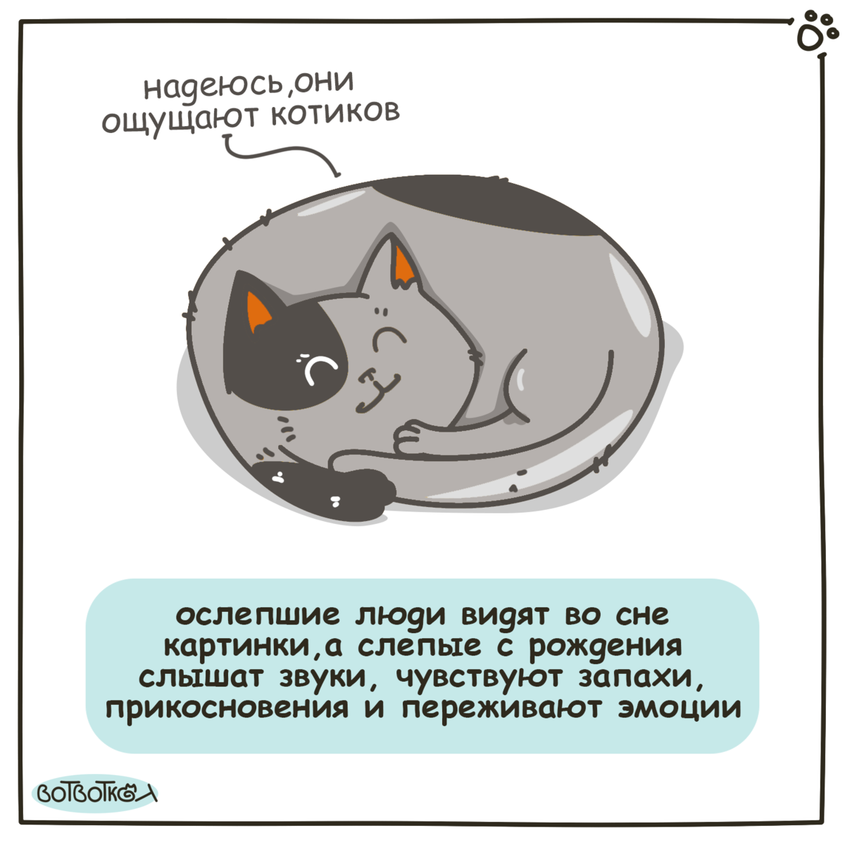 Невероятные факты от котика