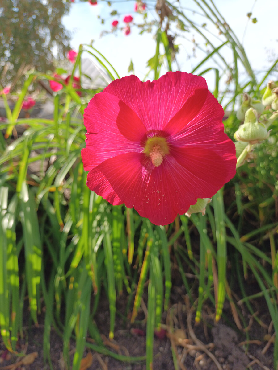 Фото автора 