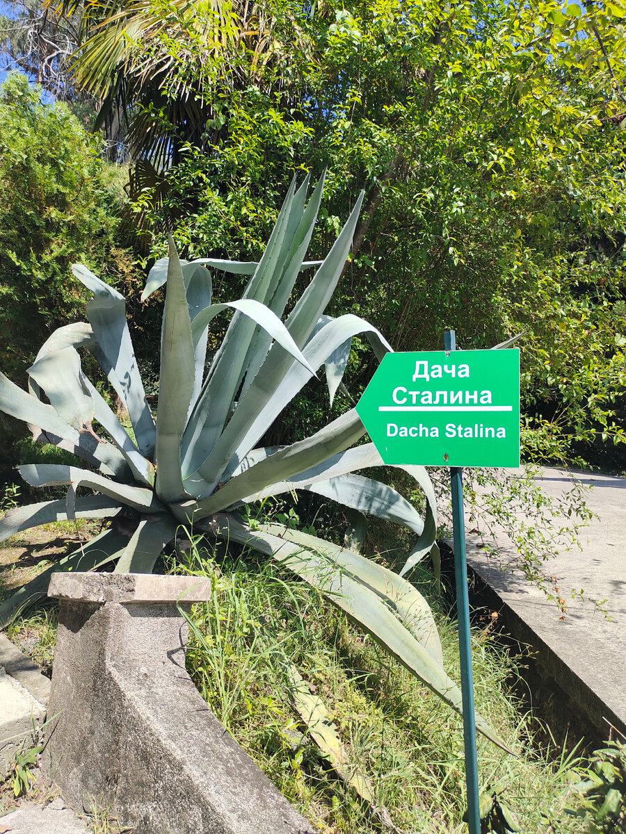 По указателям все выше и выше!