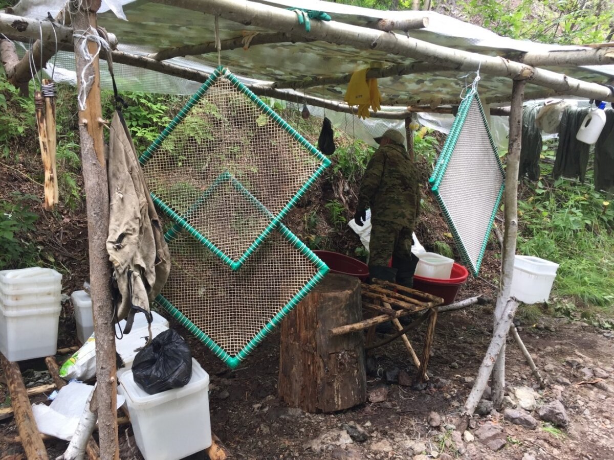                                                          Браконьерский стан на Камчатке