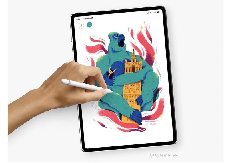 Рисунок в Procreate на iPad Pro
