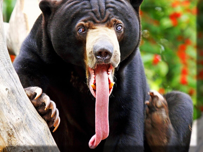 Да ладно, статья про меня?