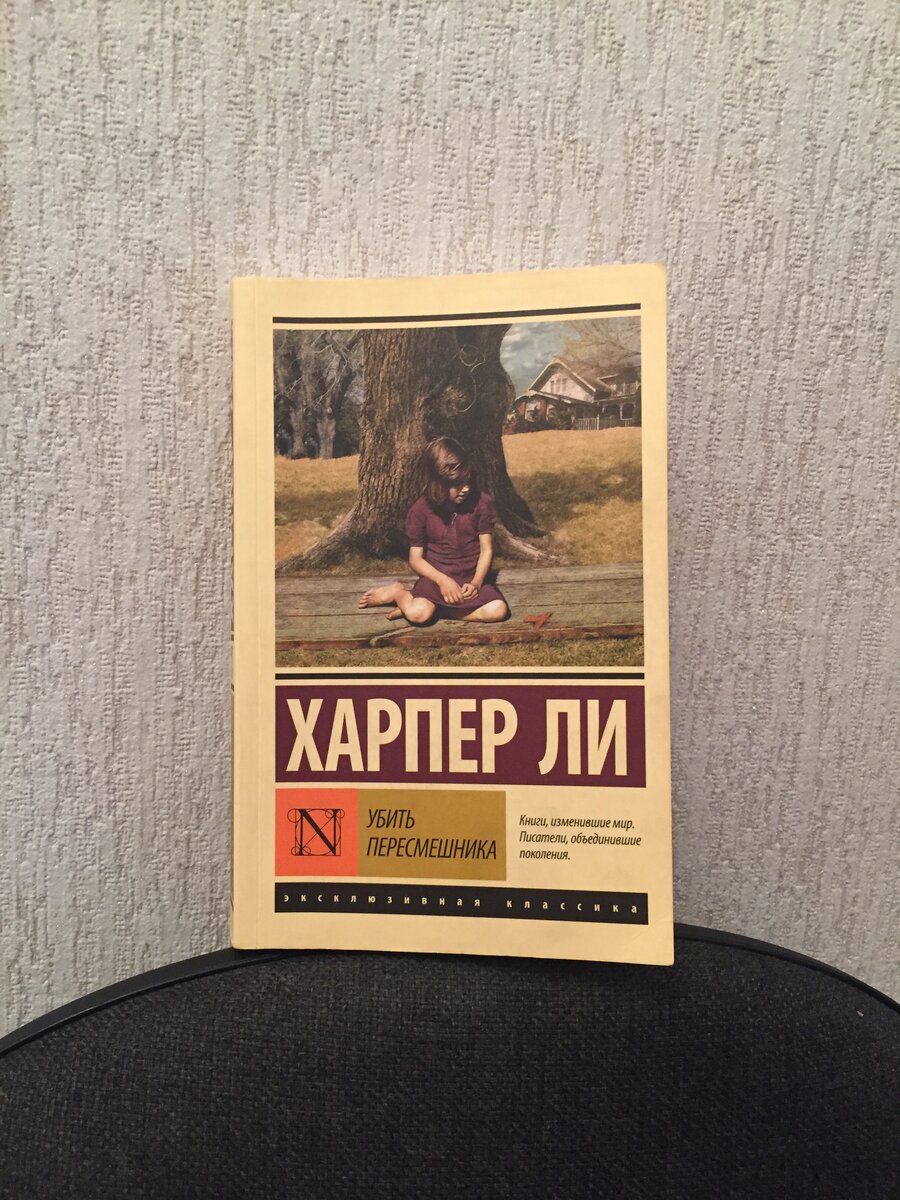 История семьи Финчей, отец- адвокат, которому предстоит вступиться в суде за афроамериканца, в районе процветающем расизмом. А детям (Луизе и Джиму) придётся сдерживаться под наплывом оскорблений, что бы не вступить в кипиш со скудоумными детьми.  