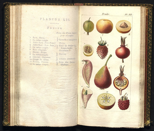 Figures pour l'almanach du bon jardinier... — Paris, [s. a.]. — [26] c., XXIV л. раскраш. грав.; Предполагаемый год изд. — 1813.