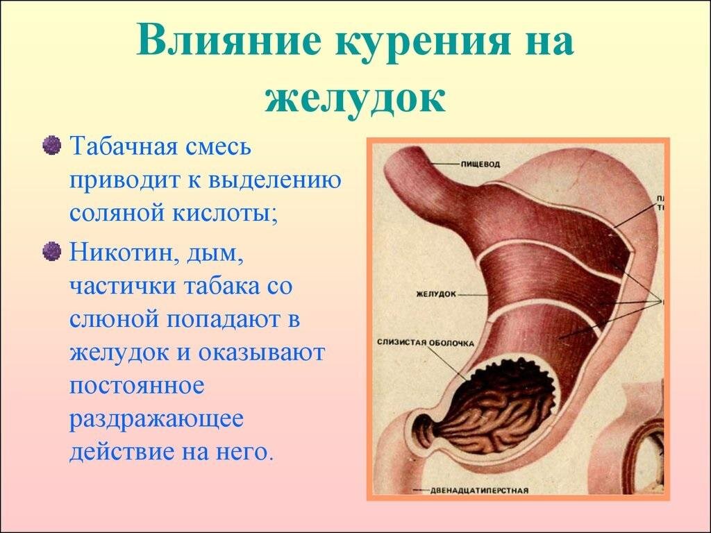 Желудок: народная медицина против боли | 35+ | Дзен