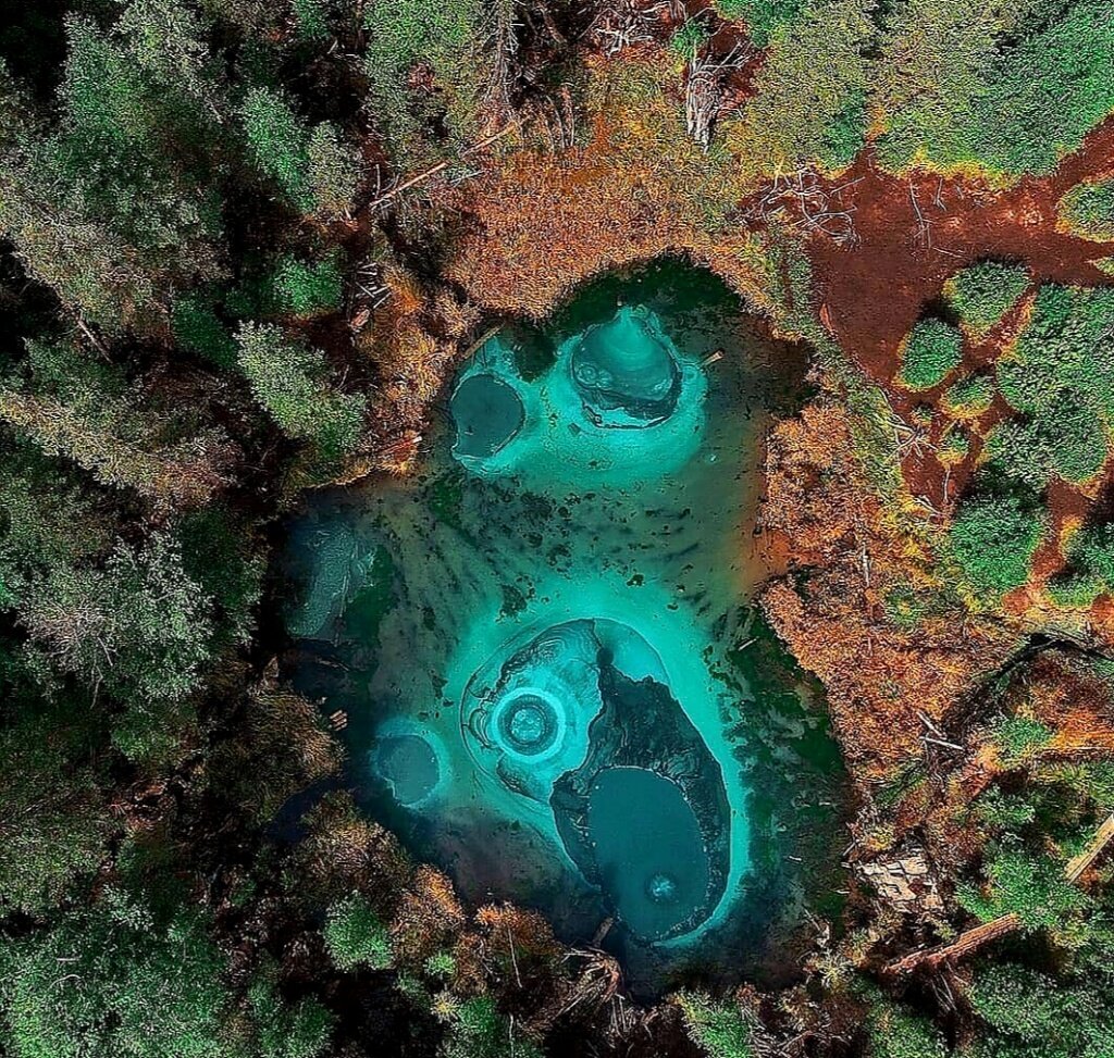 Фото инстаграм: @olinchuk