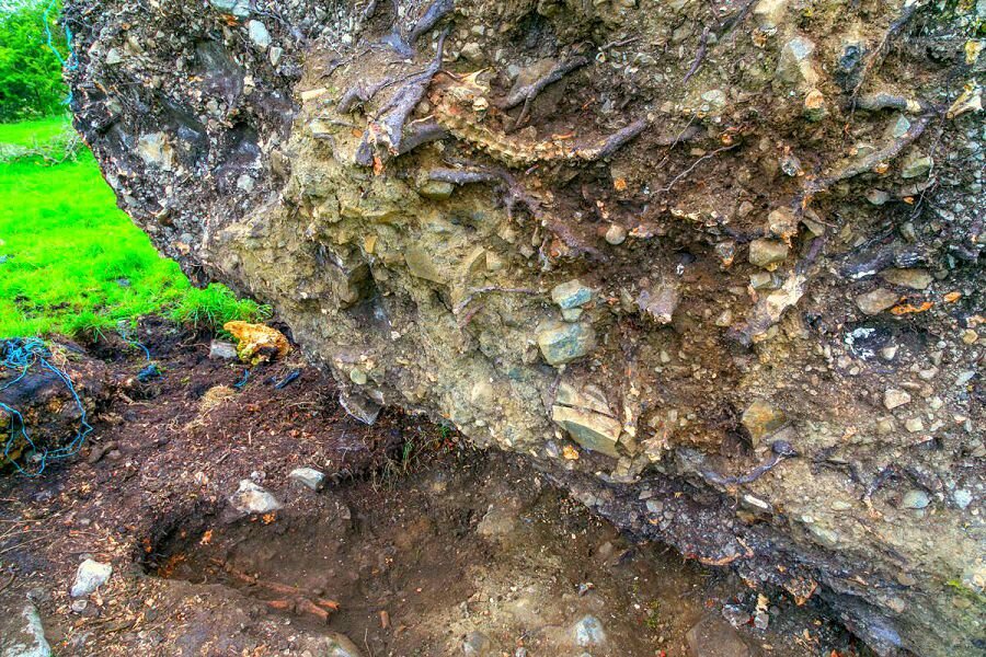 Останки 1000 летнего человека. Взято с сервиса Яндекс-картинки.