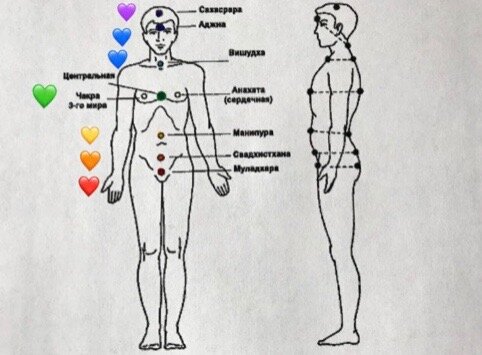 Где находится солнечное сплетение у человека рисунок