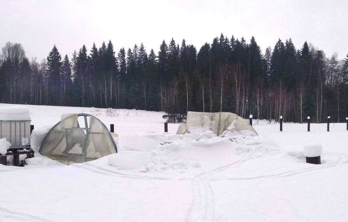 Фермерский парник  5х10 технология -  ЛСТК.  производитель - завод Атлант