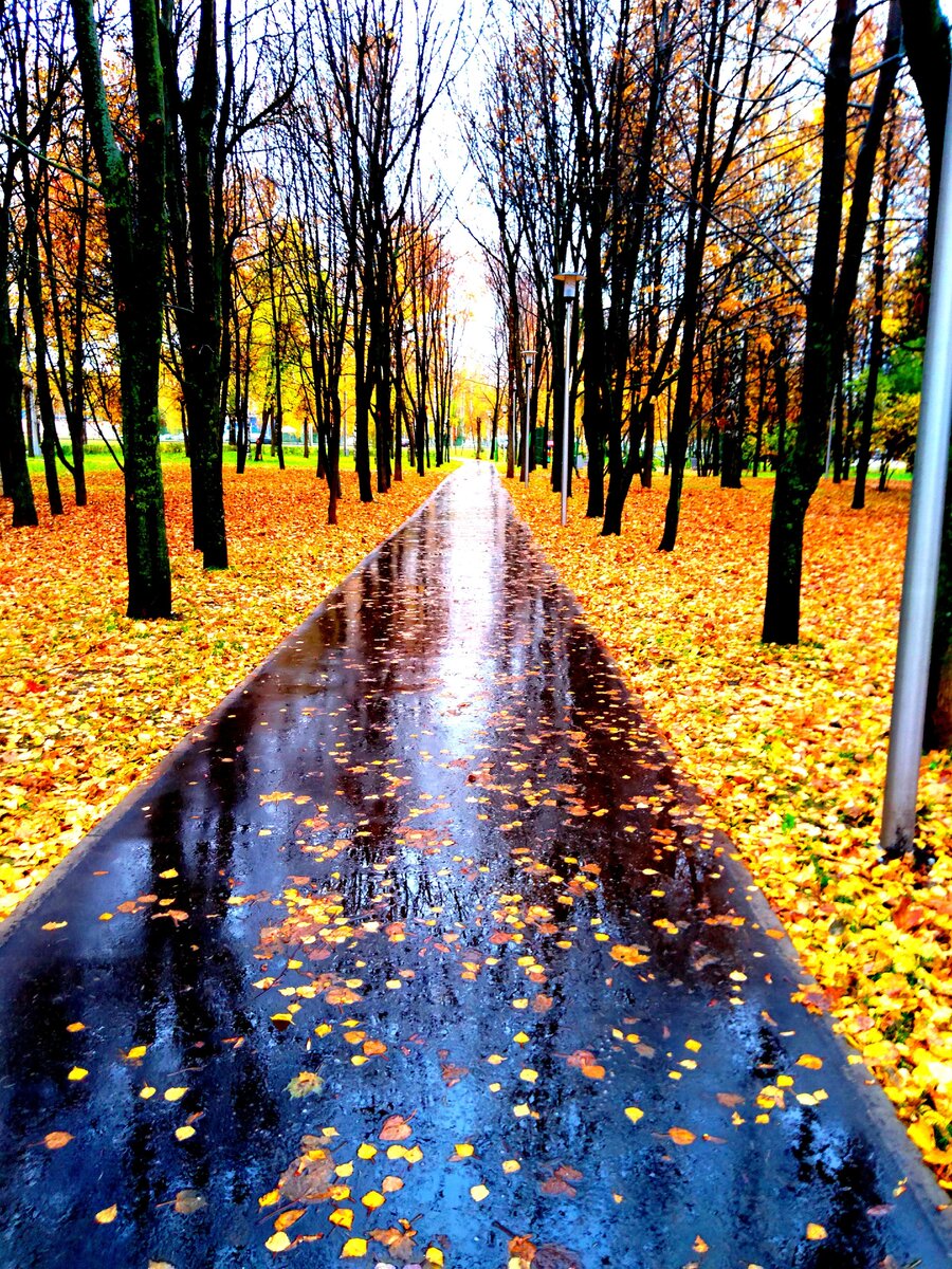 Красивые места - неотъемлемая часть Вашей прогулки