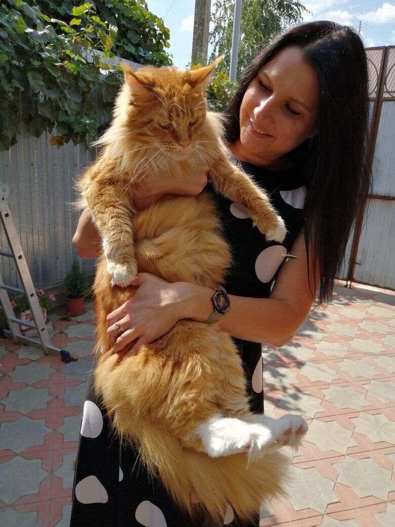 Фото из личного архива моих друзей 