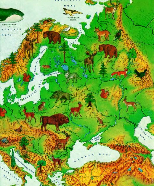 "Мир и человек" 1988 года