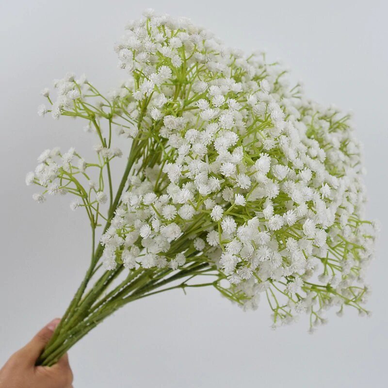 Фото из открытого источника Яндекс картинки.
