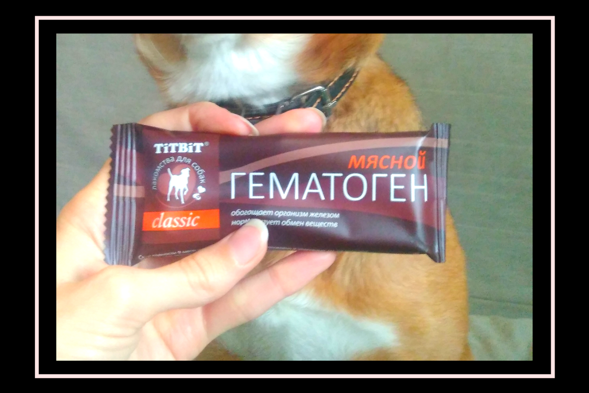 Состав гематогена с орехом. Можно ли собакам гематоген. Гематоген мясной для собак титбит. Можно ли собакам гематоген. Можно ли собакам гематоген.