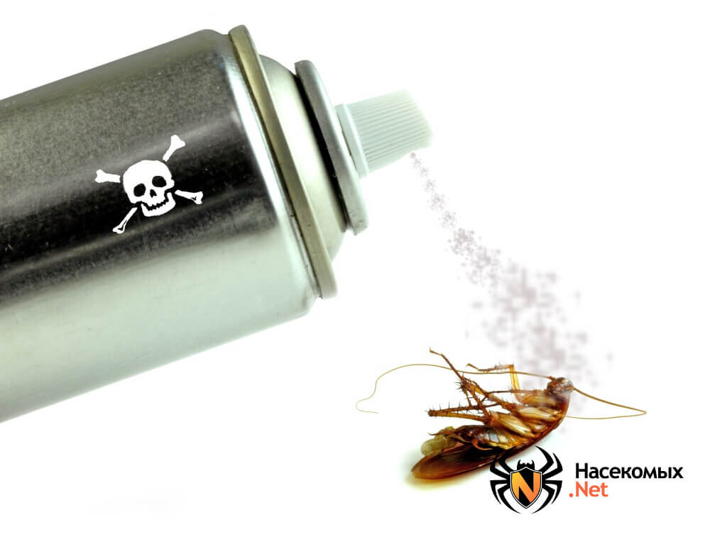 Холодный туман от тараканов. Дозатор травля тараканов. Распылитель для травли тараканов. Как избавиться от тараканов. Тараканы из канализации.