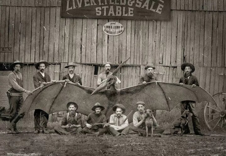 Охотники позируют с убитым птеродактилем. США. 1893 г. 