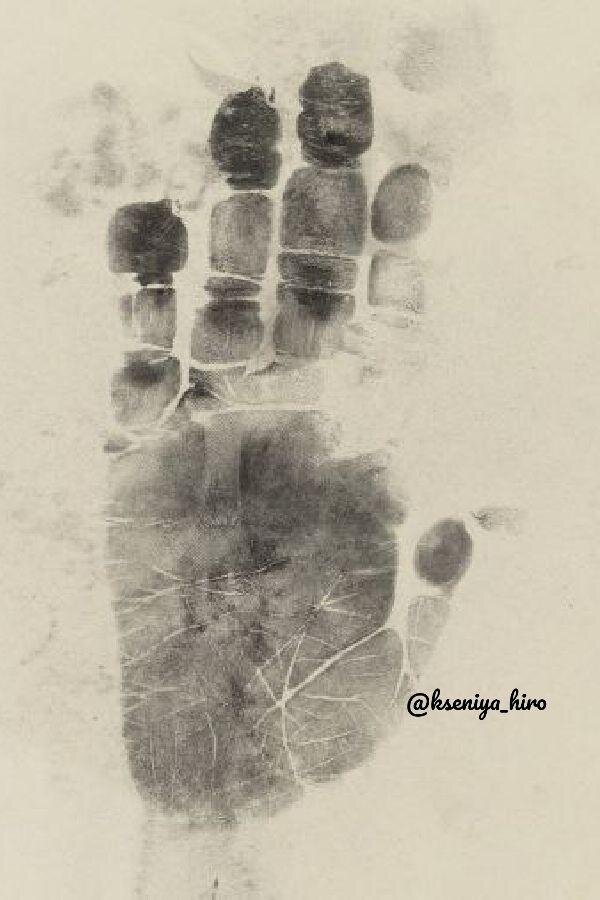 Оттиск лапы шимпанзе и отпечаток больного шизофренией