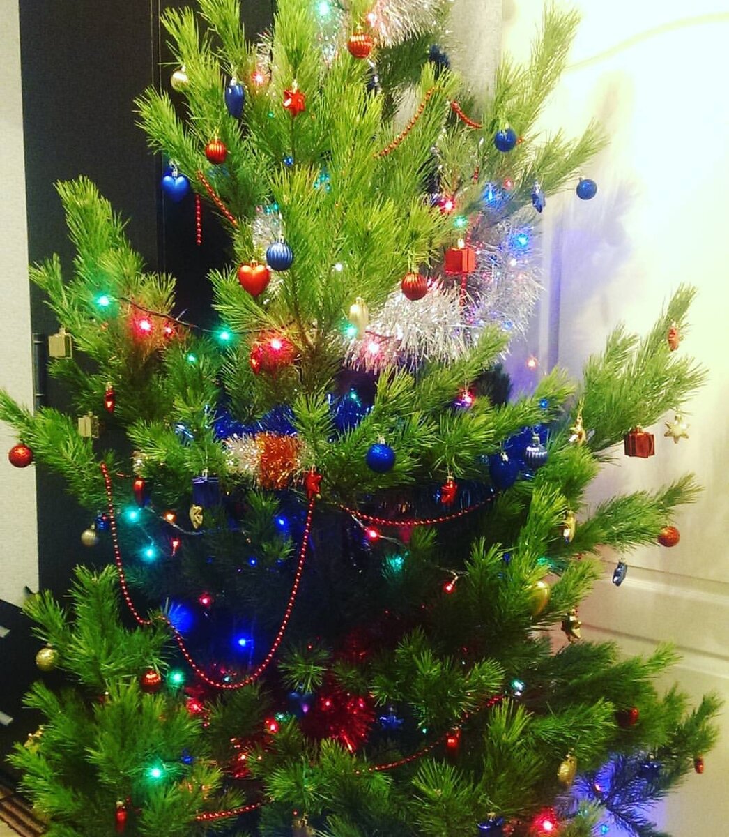 Фото из личного архива автора