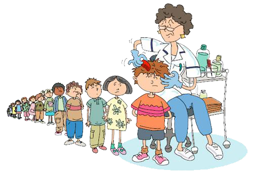 Диагностика педикулеза.