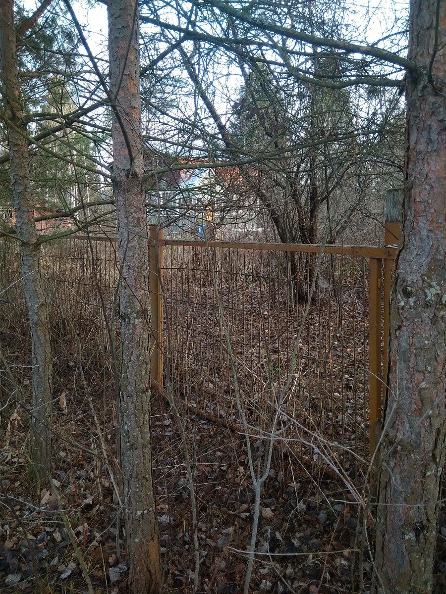 Забор вокруг заброшенного участка.