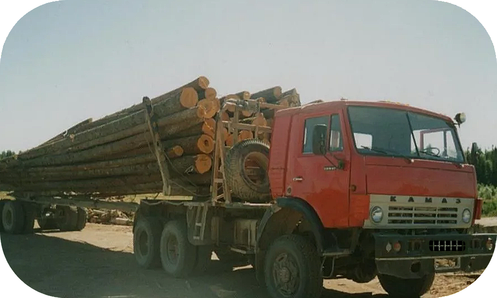 Фото из открытых источников (Я.Картинки)