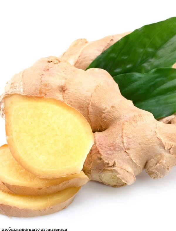 изображение взято из интернета