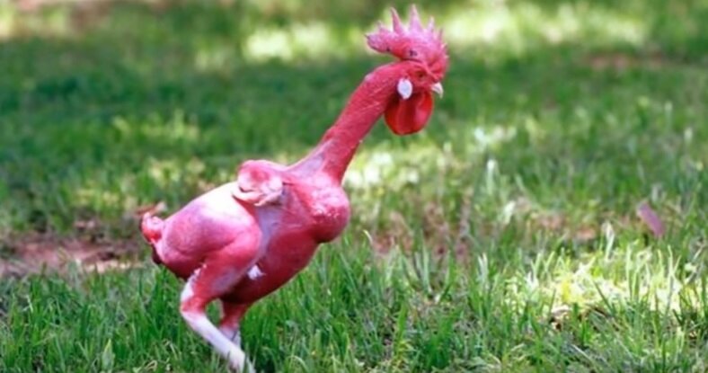 взято с Яндекс картинки